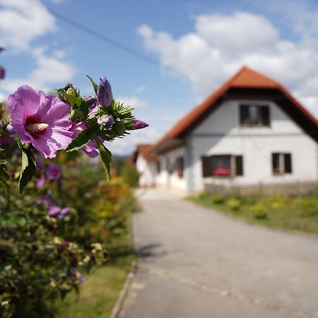 House Of Culture And Nature - Hisa Kulture In Nature Zagradec Exteriér fotografie