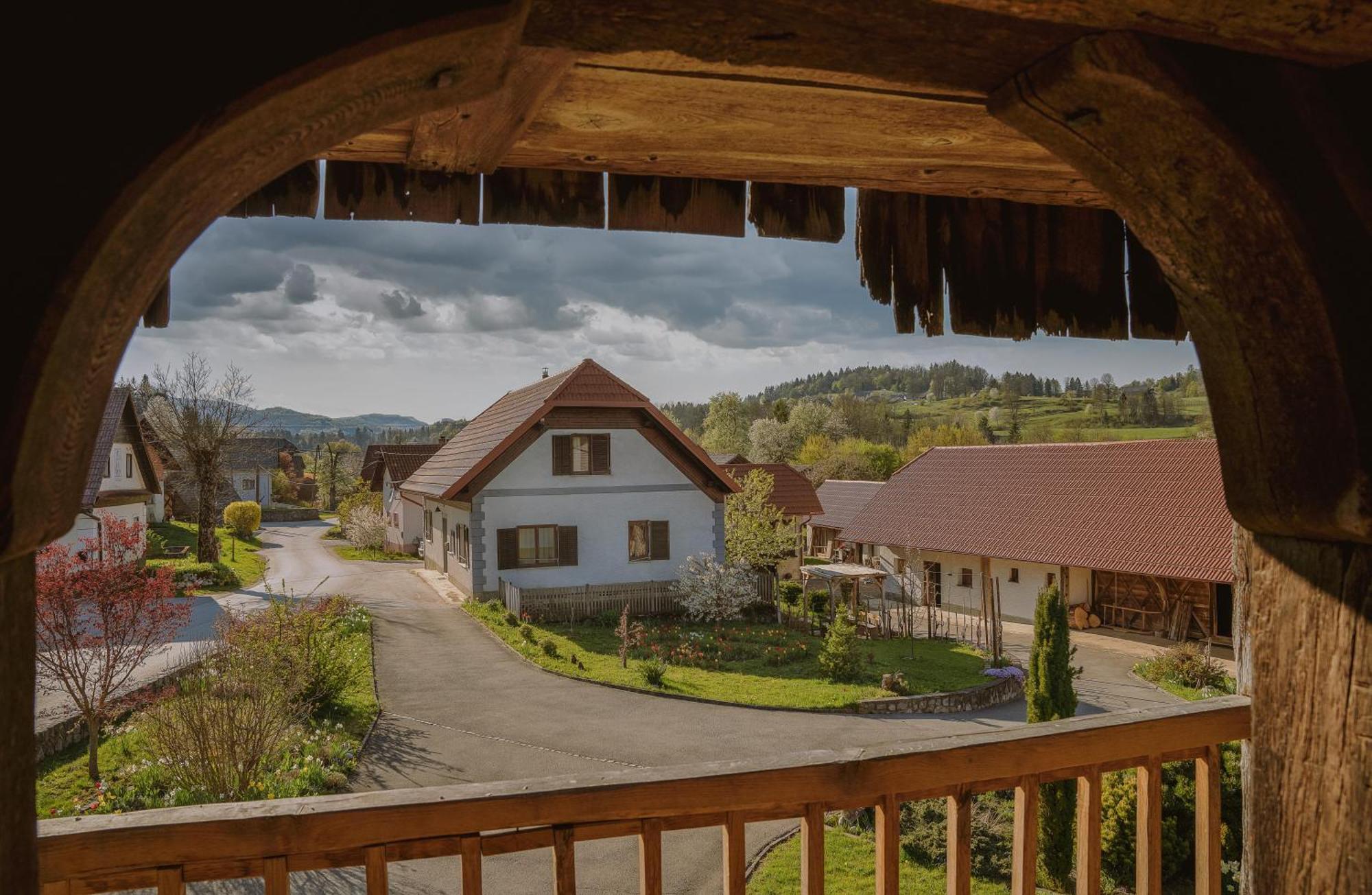 House Of Culture And Nature - Hisa Kulture In Nature Zagradec Exteriér fotografie