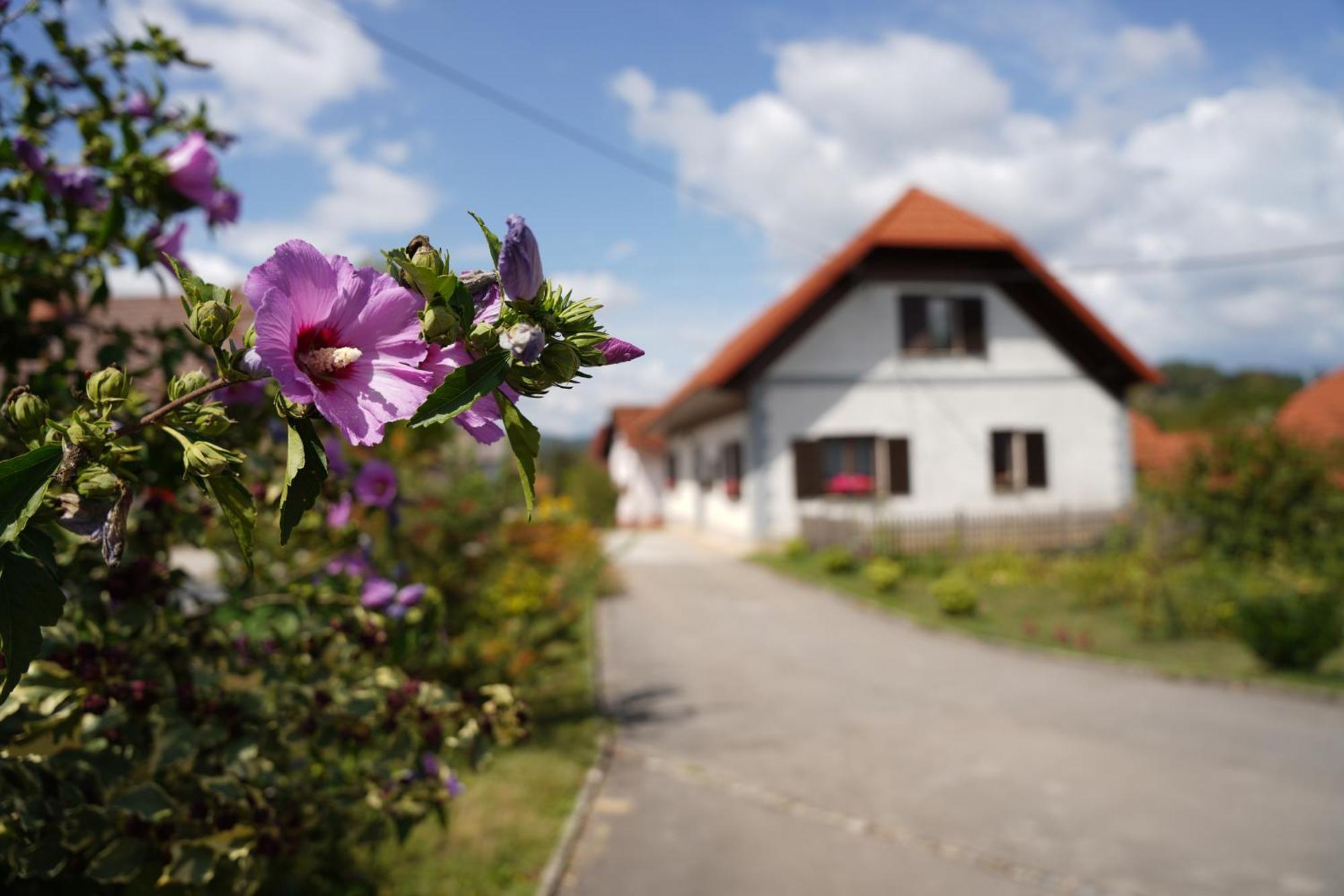 House Of Culture And Nature - Hisa Kulture In Nature Zagradec Exteriér fotografie